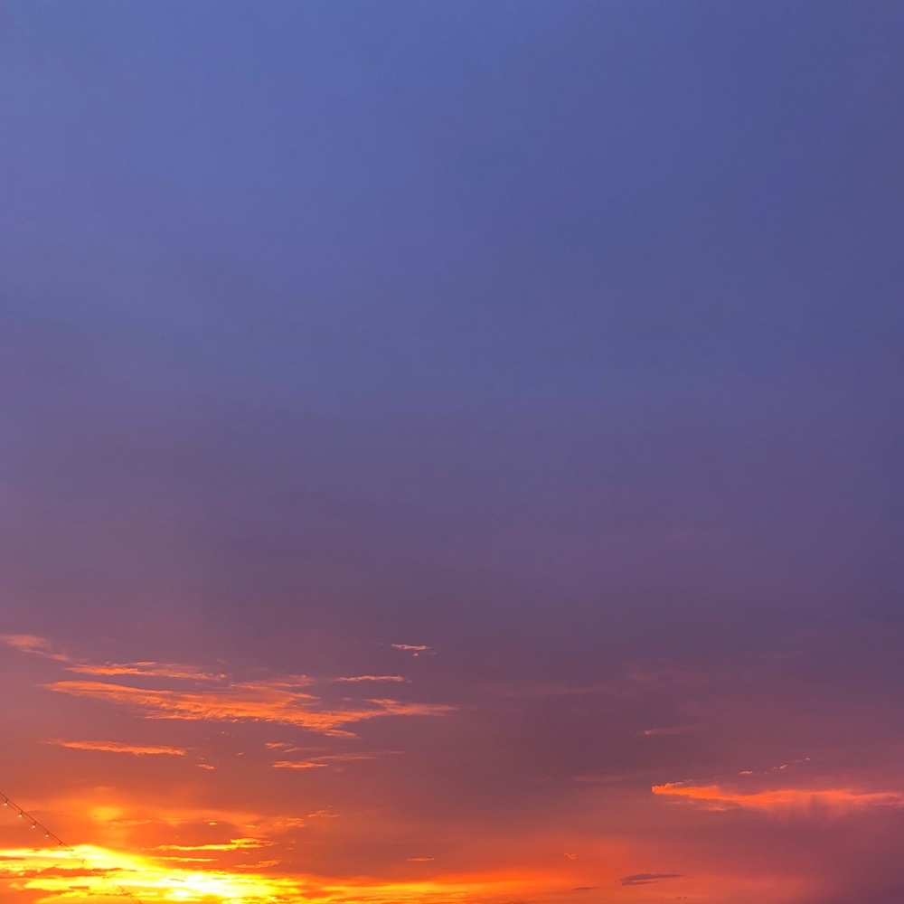 Meet your Posher, Avery